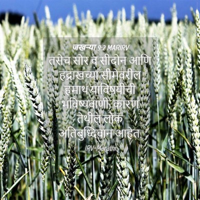 Picture 04 - जखऱ्या 9:2 MARIRV - तसेच सोर व सीदोन - Bible Verse Picture