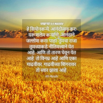 Picture 04 - जखऱ्या 9:9 MARIRV - हे सियोनकन्ये, - Bible Verse Picture