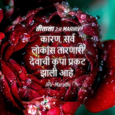 Picture 04 - तीताला 2:11 MARIRV - कारण, सर्व लोकांस - Bible Verse Picture