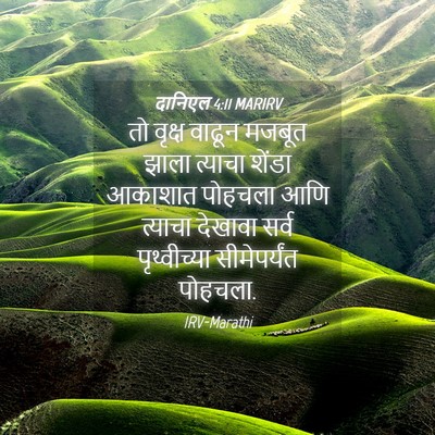Picture 04 - दानिएल 4:11 MARIRV - तो वृक्ष वाढून - Bible Verse Picture