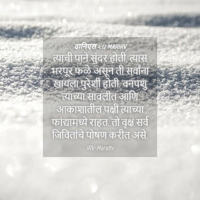 Picture 04 - दानिएल 4:12 MARIRV - त्याची पाने सुंदर - Bible Verse Picture