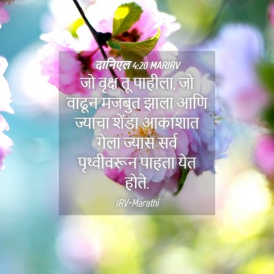 Picture 04 - दानिएल 4:20 MARIRV - जो वृक्ष तू पाहीला, - Bible Verse Picture