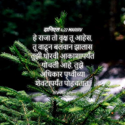 Picture 04 - दानिएल 4:22 MARIRV - हे राजा तो वृक्ष तू - Bible Verse Picture