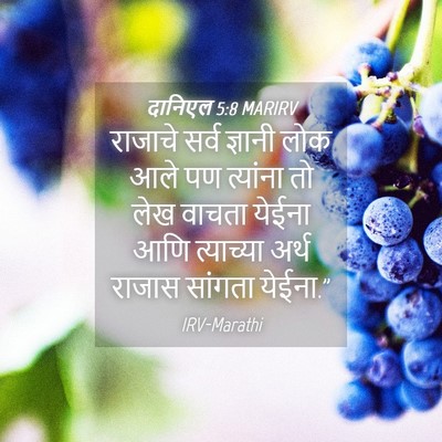 Picture 04 - दानिएल 5:8 MARIRV - राजाचे सर्व - Bible Verse Picture