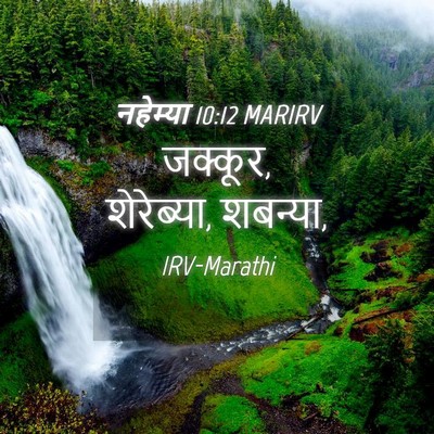 Picture 04 - नहेम्या 10:12 MARIRV - जक्कूर, शेरेब्या, - Bible Verse Picture
