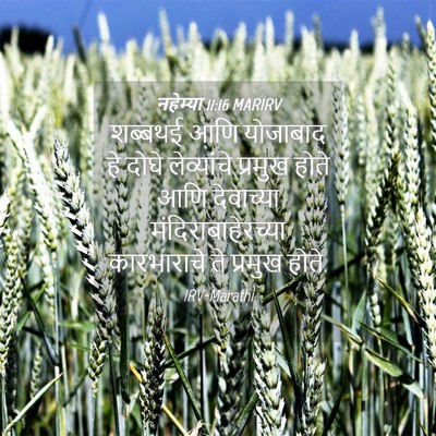 Picture 04 - नहेम्या 11:16 MARIRV - शब्बथई आणि - Bible Verse Picture