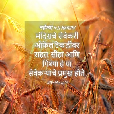 Picture 04 - नहेम्या 11:21 MARIRV - मंदिराचे सेवेकरी - Bible Verse Picture