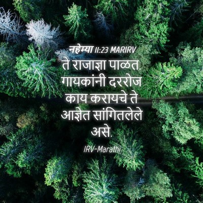 Picture 04 - नहेम्या 11:23 MARIRV - ते राजाज्ञा पाळत. - Bible Verse Picture