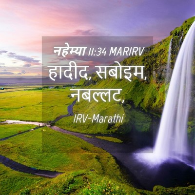 Picture 04 - नहेम्या 11:34 MARIRV - हादीद, सबोइम, - Bible Verse Picture