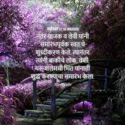 Picture 04 - नहेम्या 12:30 MARIRV - नंतर याजक व लेवी - Bible Verse Picture