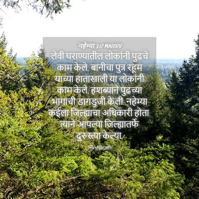 Picture 04 - नहेम्या 3:17 MARIRV - लेवी घराण्यातील - Bible Verse Picture