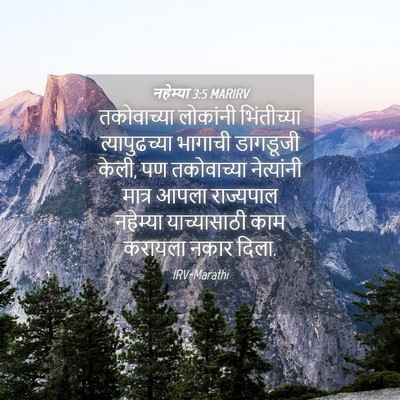 Picture 04 - नहेम्या 3:5 MARIRV - तकोवाच्या लोकांनी - Bible Verse Picture