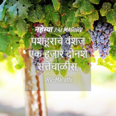 Picture 04 - नहेम्या 7:41 MARIRV - पशहूराचे वंशज एक - Bible Verse Picture