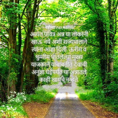Picture 04 - नहेम्या 7:65 MARIRV - अत्यंत पवित्र - Bible Verse Picture