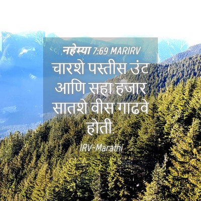 Picture 04 - नहेम्या 7:69 MARIRV - चारशे पस्तीस उंट - Bible Verse Picture
