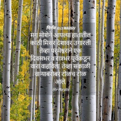 Picture 04 - निर्गम 10:13 MARIRV - मग मोशेने आपल्या - Bible Verse Picture