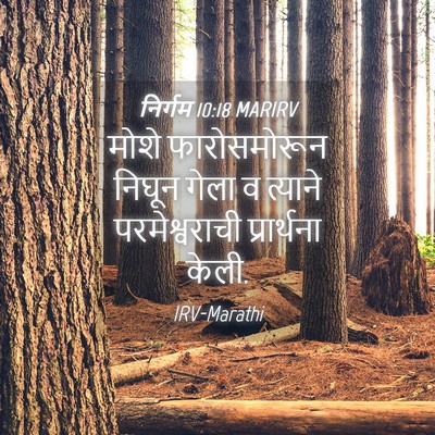 Picture 04 - निर्गम 10:18 MARIRV - मोशे फारोसमोरून - Bible Verse Picture
