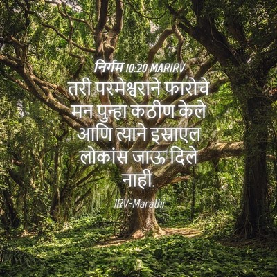 Picture 04 - निर्गम 10:20 MARIRV - तरी परमेश्वराने - Bible Verse Picture