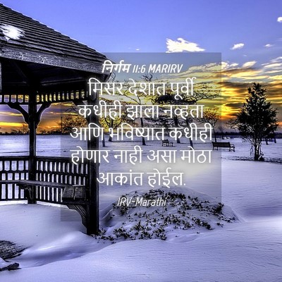 Picture 04 - निर्गम 11:6 MARIRV - मिसर देशात पूर्वी - Bible Verse Picture