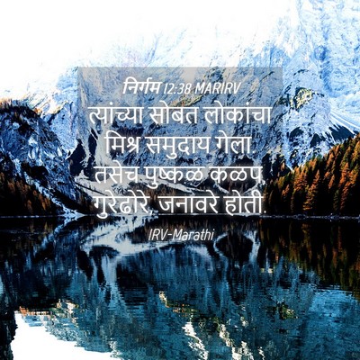 Picture 04 - निर्गम 12:38 MARIRV - त्यांच्या सोबत - Bible Verse Picture