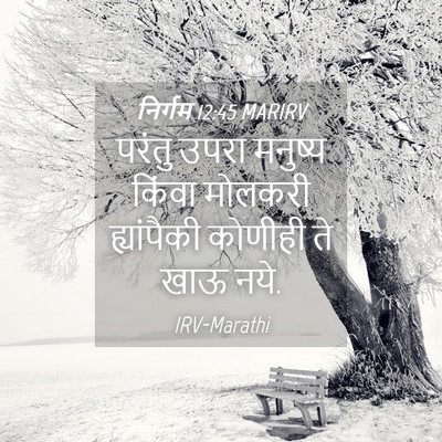 Picture 04 - निर्गम 12:45 MARIRV - परंतु उपरा मनुष्य - Bible Verse Picture