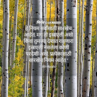 Picture 04 - निर्गम 12:49 MARIRV - हे नियम - Bible Verse Picture