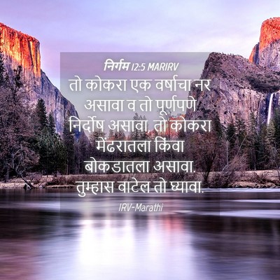 Picture 04 - निर्गम 12:5 MARIRV - तो कोकरा एक - Bible Verse Picture