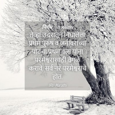 Picture 04 - निर्गम 13:12 MARIRV - तेव्हा उदरातून - Bible Verse Picture