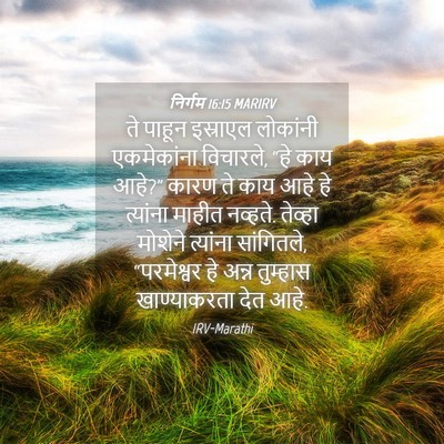 Picture 04 - निर्गम 16:15 MARIRV - ते पाहून इस्राएल - Bible Verse Picture