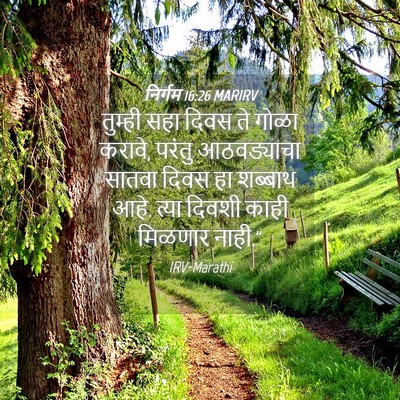 Picture 04 - निर्गम 16:26 MARIRV - तुम्ही सहा दिवस ते - Bible Verse Picture