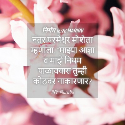 Picture 04 - निर्गम 16:28 MARIRV - नंतर परमेश्वर - Bible Verse Picture