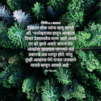 Picture 04 - निर्गम 16:3 MARIRV - इस्राएल लोक - Bible Verse Picture