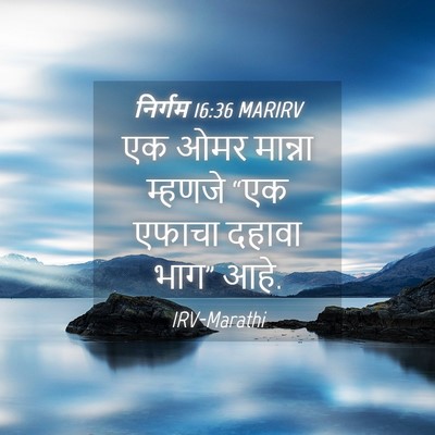 Picture 04 - निर्गम 16:36 MARIRV - एक ओमर मान्ना - Bible Verse Picture