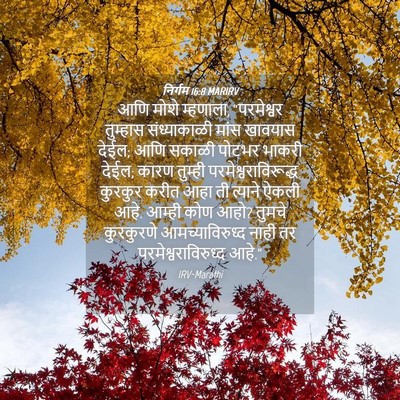 Picture 04 - निर्गम 16:8 MARIRV - आणि मोशे म्हणाला, - Bible Verse Picture
