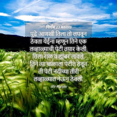 Picture 04 - निर्गम 2:3 MARIRV - पुढे आणखी तिला तो - Bible Verse Picture
