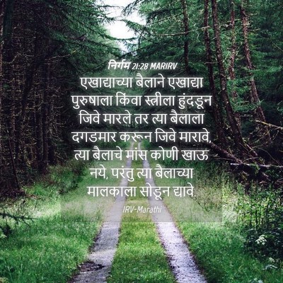 Picture 04 - निर्गम 21:28 MARIRV - एखाद्याच्या - Bible Verse Picture