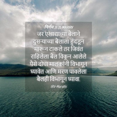 Picture 04 - निर्गम 21:35 MARIRV - जर एखाद्याच्या - Bible Verse Picture