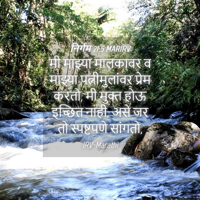 Picture 04 - निर्गम 21:5 MARIRV - मी माझ्या मालकावर - Bible Verse Picture