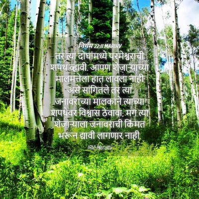 Picture 04 - निर्गम 22:11 MARIRV - तर त्या - Bible Verse Picture