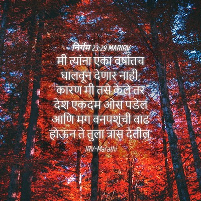 Picture 04 - निर्गम 23:29 MARIRV - मी त्यांना एका - Bible Verse Picture