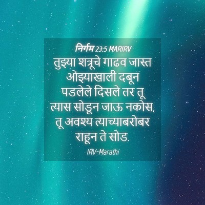 Picture 04 - निर्गम 23:5 MARIRV - तुझ्या शत्रूचे - Bible Verse Picture