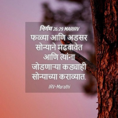 Picture 04 - निर्गम 26:29 MARIRV - फळ्या आणि अडसर - Bible Verse Picture