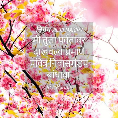 Picture 04 - निर्गम 26:30 MARIRV - मी तुला पर्वतावर - Bible Verse Picture