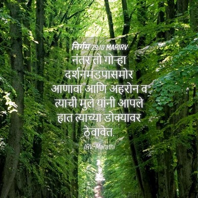 Picture 04 - निर्गम 29:10 MARIRV - नंतर तो गोऱ्हा - Bible Verse Picture