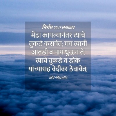 Picture 04 - निर्गम 29:17 MARIRV - मेंढा कापल्यानंतर - Bible Verse Picture