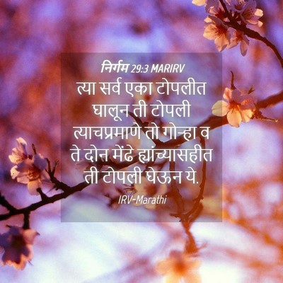Picture 04 - निर्गम 29:3 MARIRV - त्या सर्व एका - Bible Verse Picture