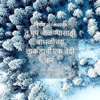 Picture 04 - निर्गम 30:1 MARIRV - तू धूप - Bible Verse Picture