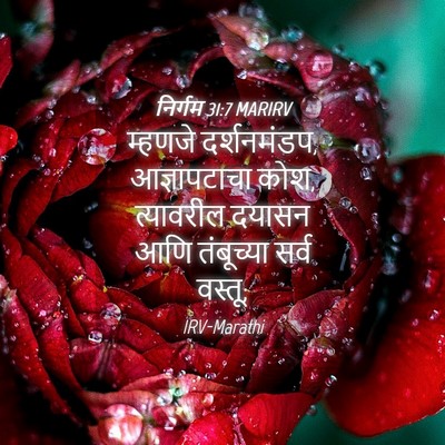 Picture 04 - निर्गम 31:7 MARIRV - म्हणजे दर्शनमंडप, - Bible Verse Picture