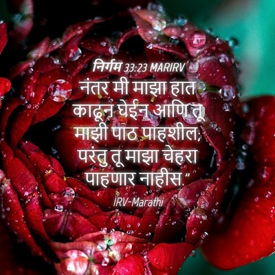 Picture 04 - निर्गम 33:23 MARIRV - नंतर मी माझा हात - Bible Verse Picture
