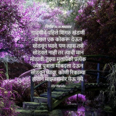 Picture 04 - निर्गम 34:20 MARIRV - गाढवीचे पहिले - Bible Verse Picture